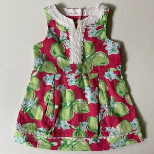 Tea Collection Dress Size 6 12 Months Floral Lined Pink Green Preppy Baby Girls